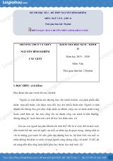 Giải đề thi kì 2 Ngữ văn lớp 11 năm 2019 - 2020 trường THPT Nguyễn Bỉnh Khiêm
